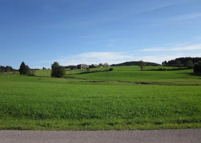 Retreat In The Bohemian Forest Σπίτι διακοπών Schoneben (Freistadt)