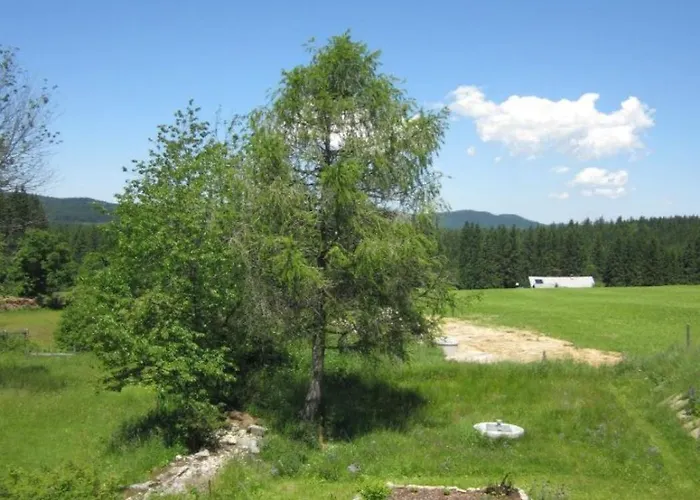 Retreat In The Bohemian Forest Σπίτι διακοπών