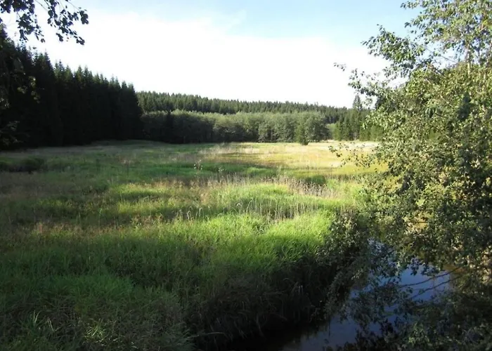 Retreat In The Bohemian Forest Tatil Evi